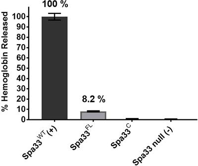 Composition and Biophysical Properties of the Sorting Platform Pods in the Shigella Type III Secretion System